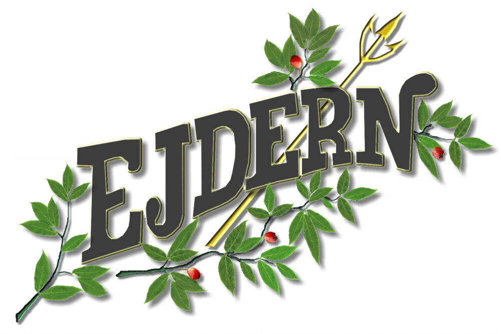 S/S Ejdern
